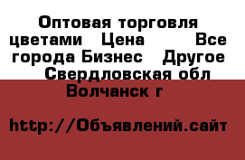 Оптовая торговля цветами › Цена ­ 25 - Все города Бизнес » Другое   . Свердловская обл.,Волчанск г.